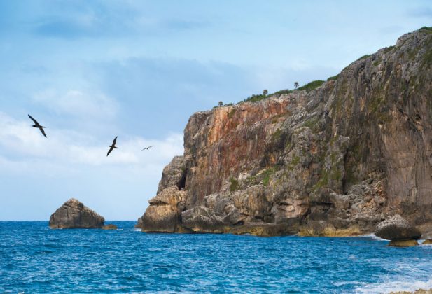 View of water and cliffs on Cayman Brac with birds wheeling in the air.